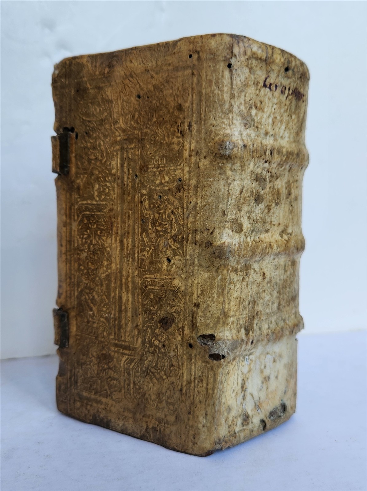 1554 INSTITUTIO CATHOLICA 16th CENTURY PIGSKIN BINDING ANTIQUE Johannes Gropper