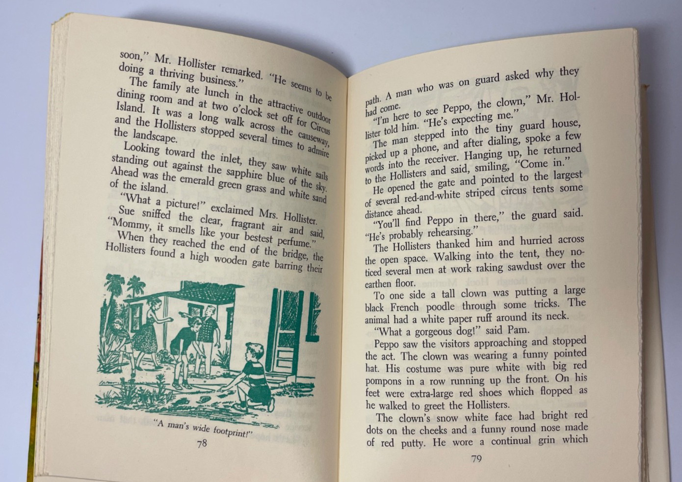The Happy Hollisters set of 6 including Book #1 Vintage Children’s Series