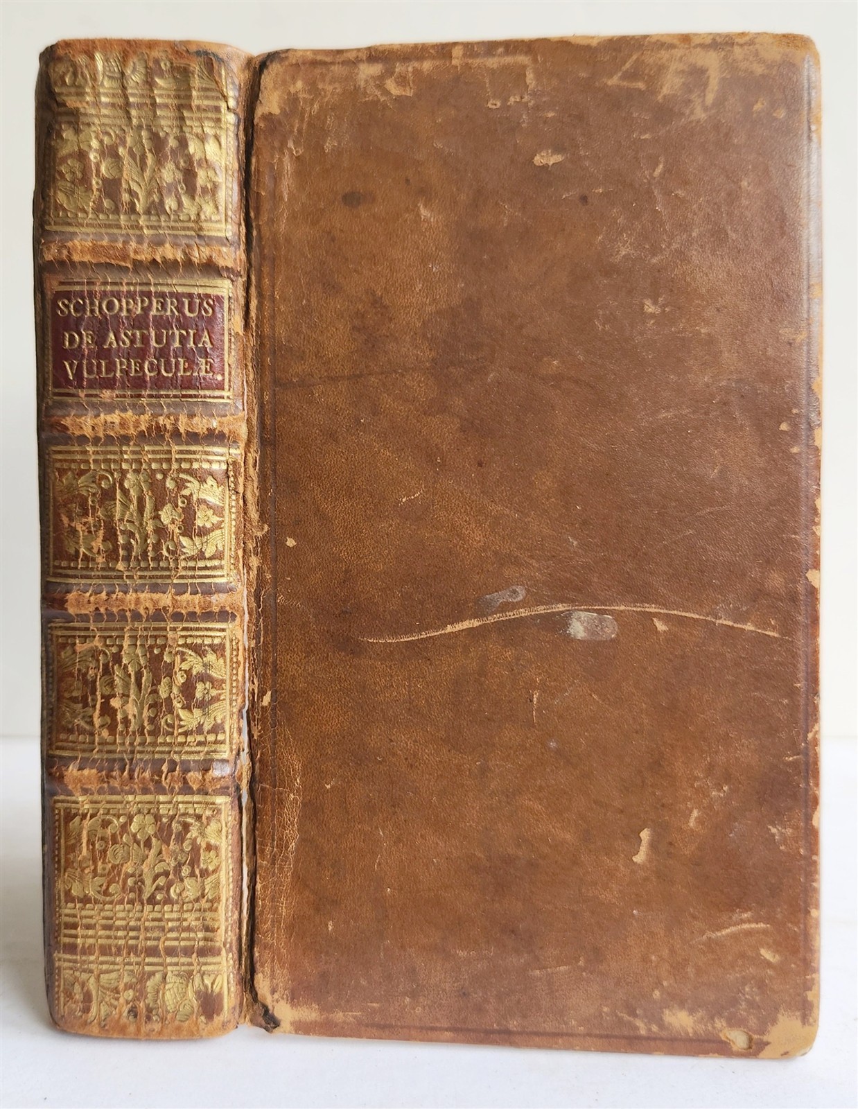 1595 REYNARD the FOX in LATIN illustrated by Jost Amman & Virgil Solis ANTIQUE