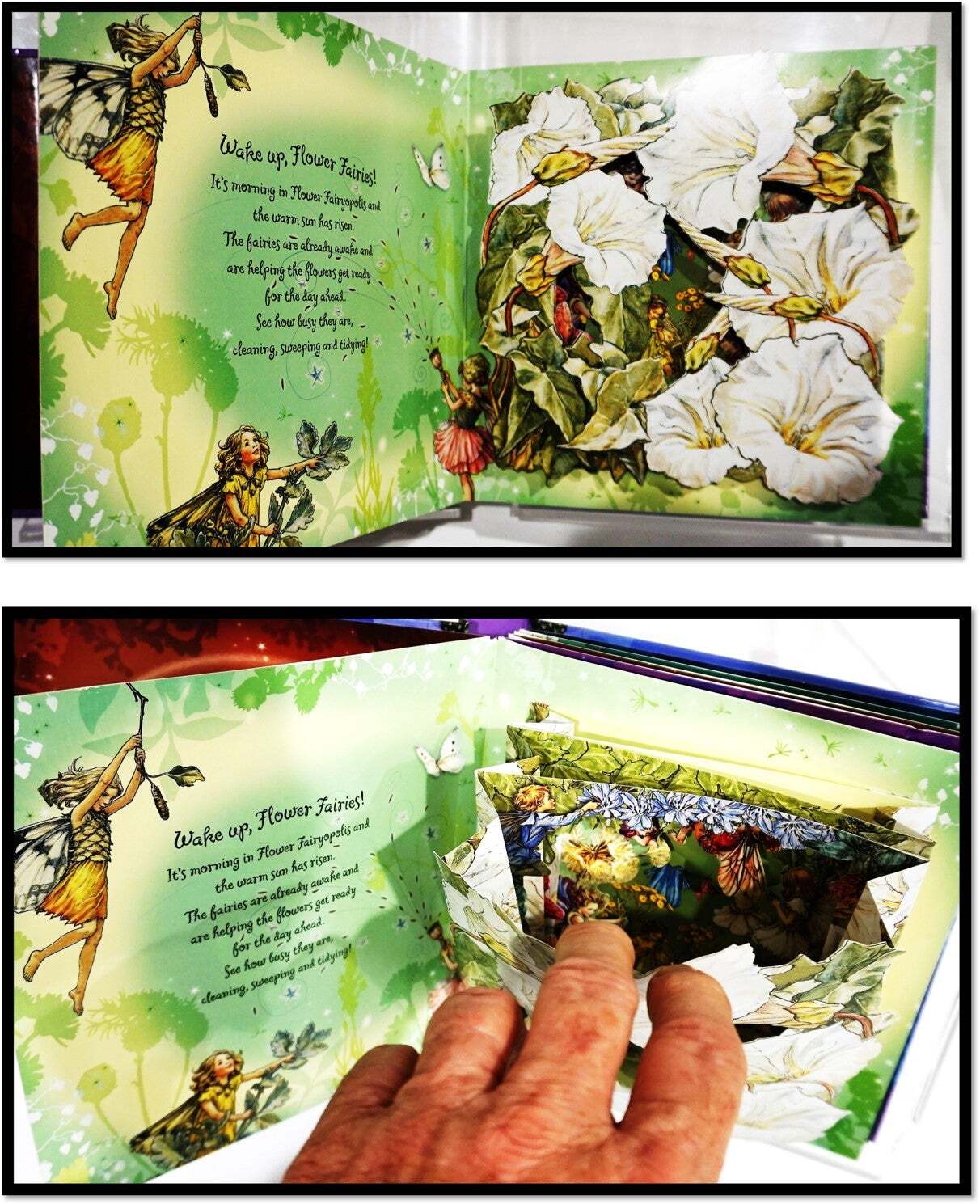 Cicely Mary Barker Hidden Flower Fairies 1st Edition 2009 GIFT QUALITY No Flaws