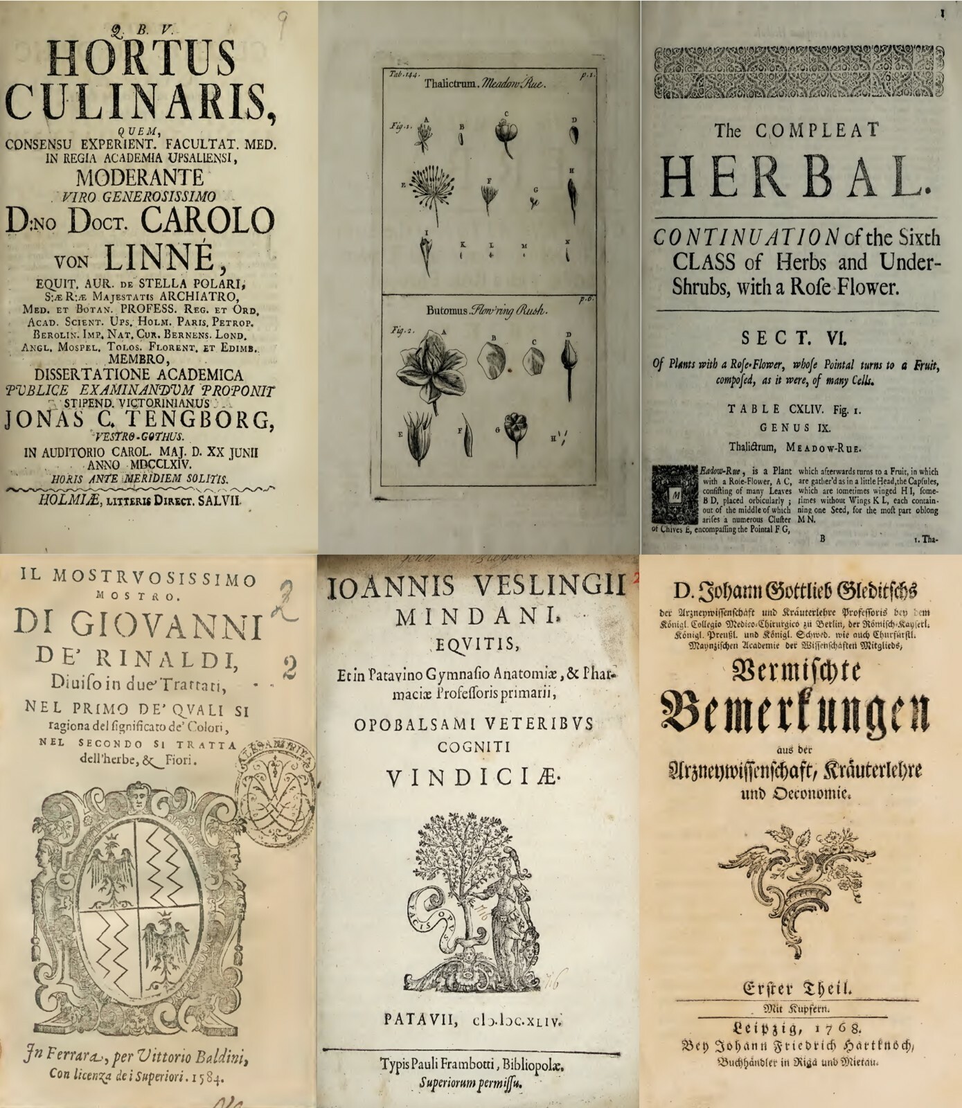 61 Most Old Books on Herbs Botany Botanica Plants Herbal Remedy Medicine on DVD