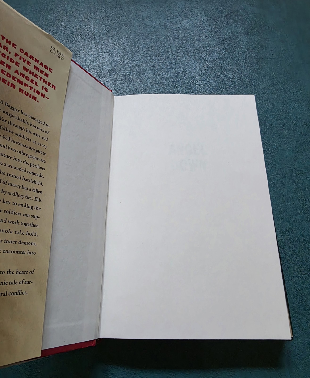 ANGEL DOWN Daniel Kraus Pulitzer Prize 1st Edition 1st Print Hardcover DJ RARE!