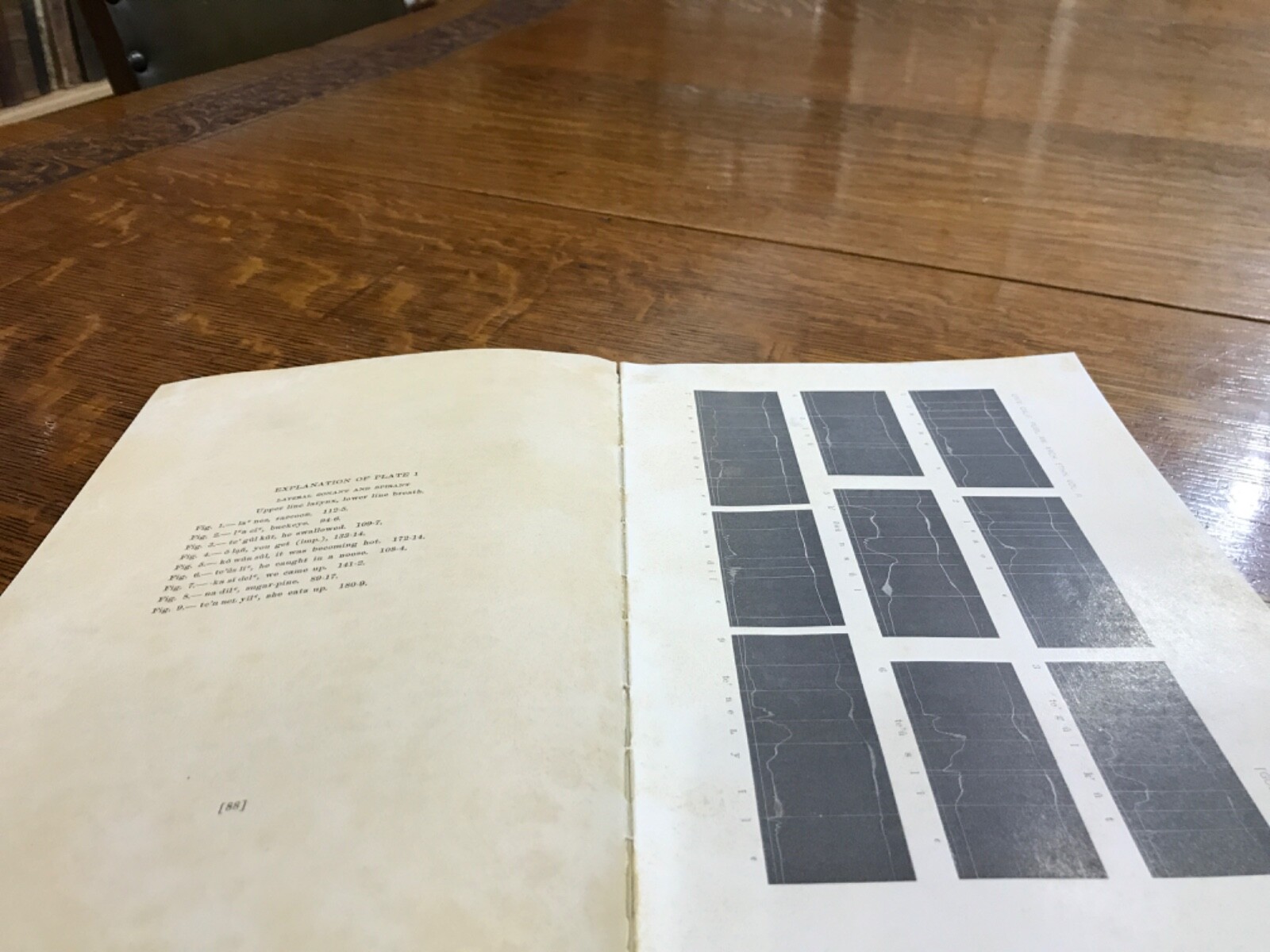 1912 Elements of the Kato Language Pliny Earle Goddard Illustrations