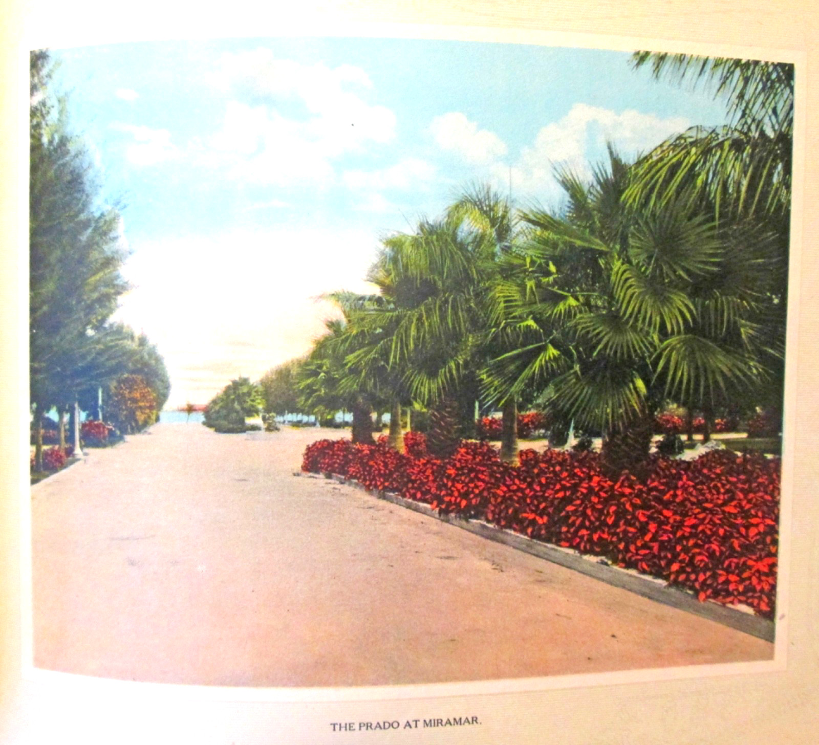 Miami the Beautiful Rare 100+ yr old book Hand tinted Color Plates Florida VG+