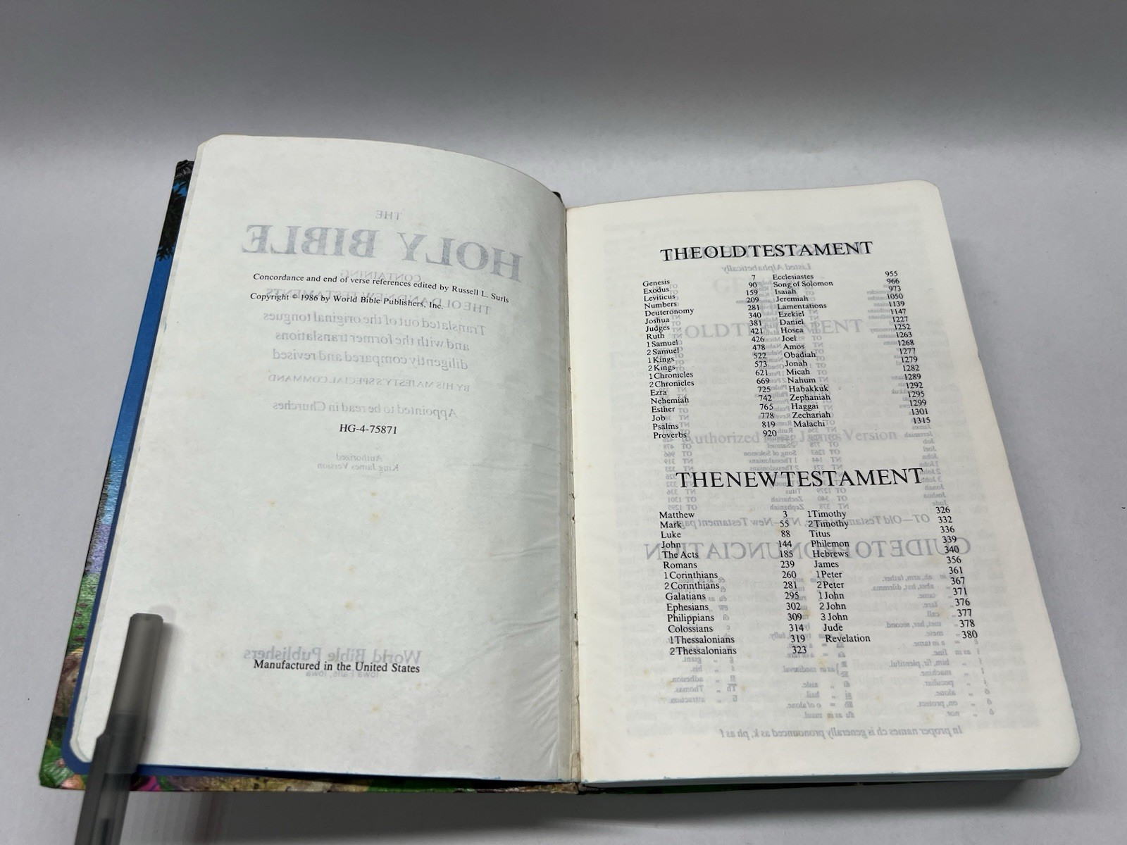 Holy Bible Kings James Version Illustrated