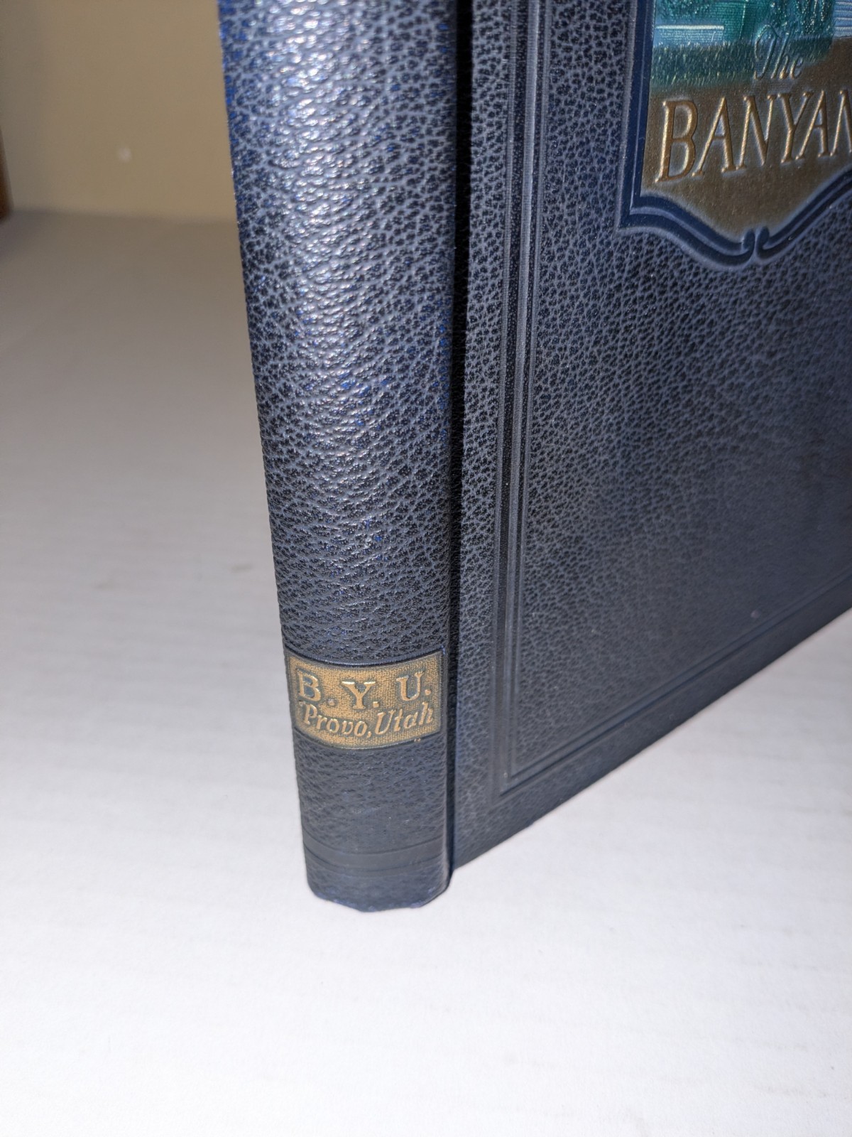VTG 1924 Banyan Yearbook Brigham Young University BYU Provo Utah Mormon LDS