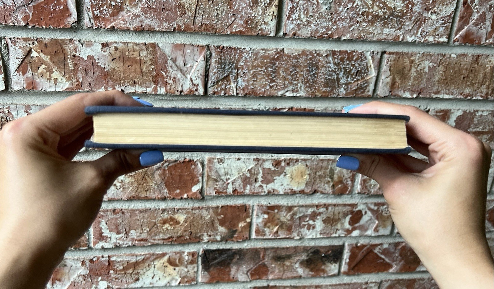 22 Cells in Nuremberg by Douglas M. Kelley – Signed 1947 First Edition (RARE)
