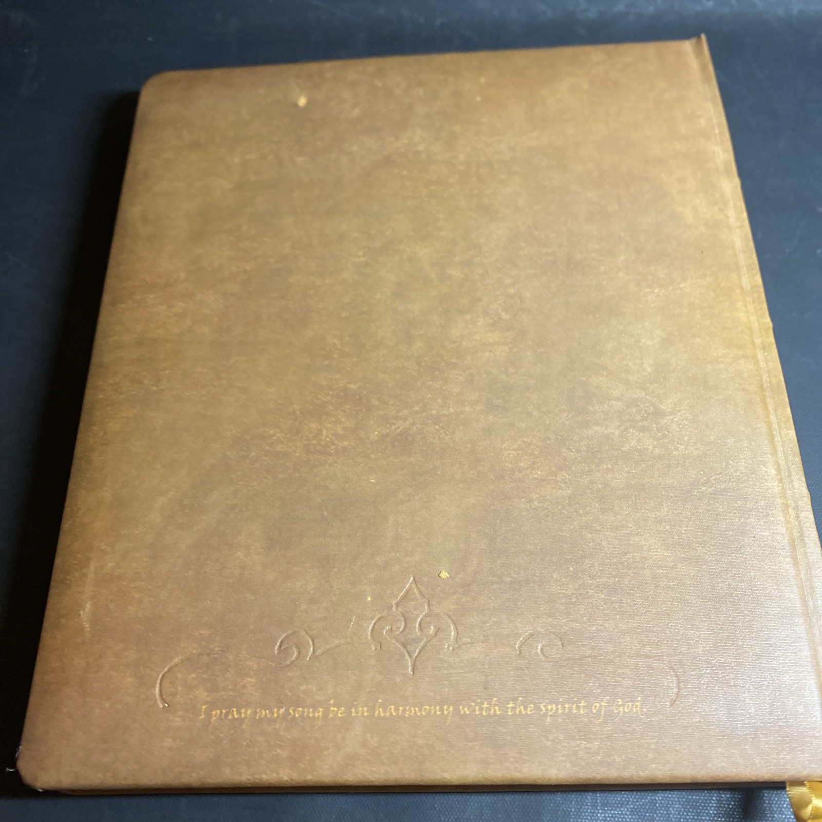 Love Songs of Middle Time, 1st Edition 1st Print Hardcover – C.K. Rockey / FHB