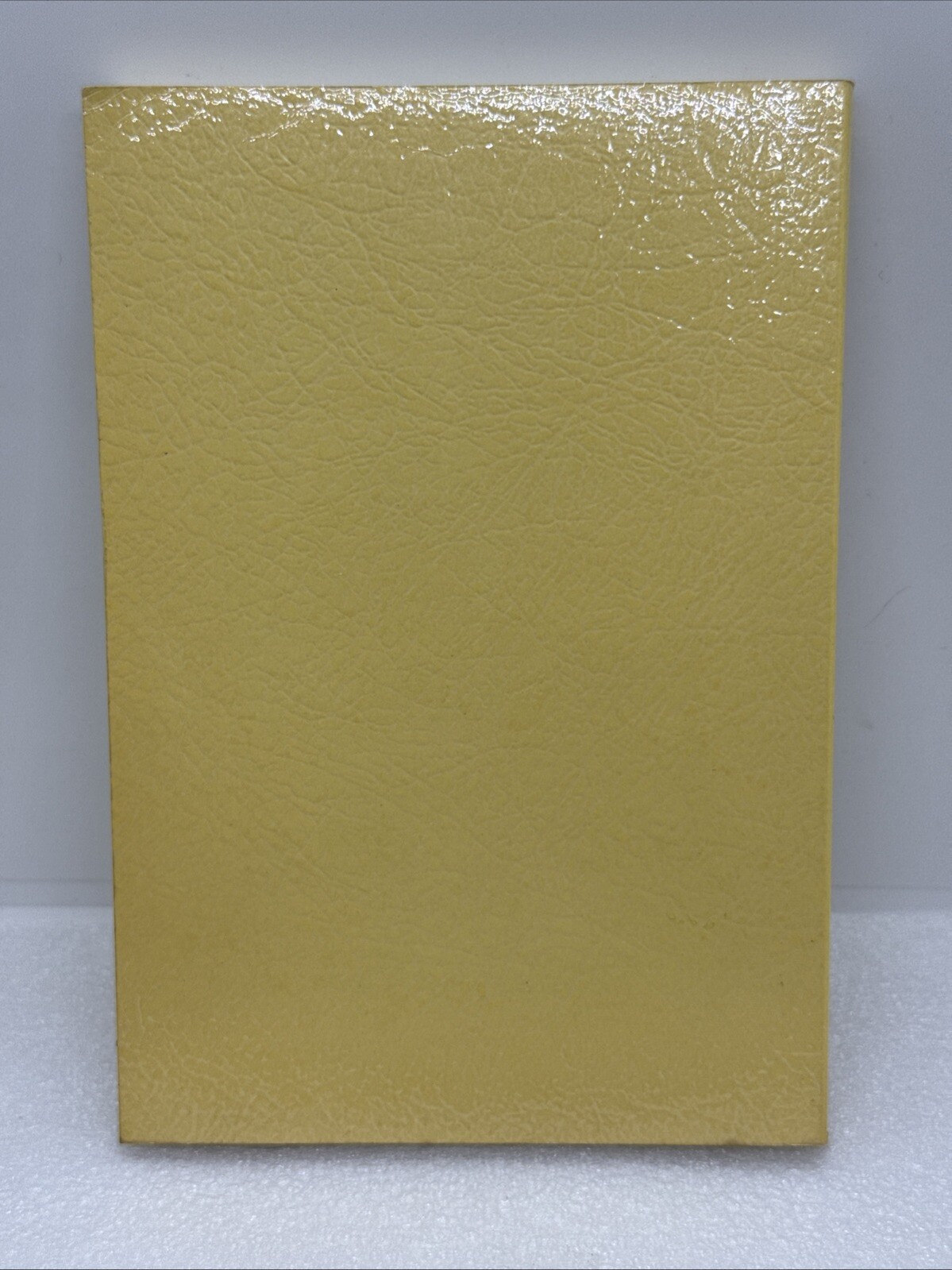 In The Land Of The Living Dead 1975 Rosicrucian Fellowship Occult 1st Paper ED.