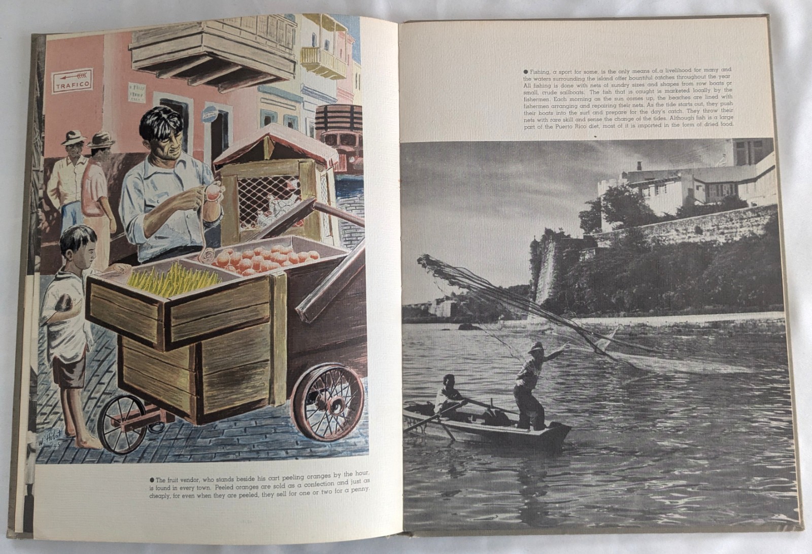 Puerto Rico United States Army Air Forces Borinquen Field 1945 History Culture