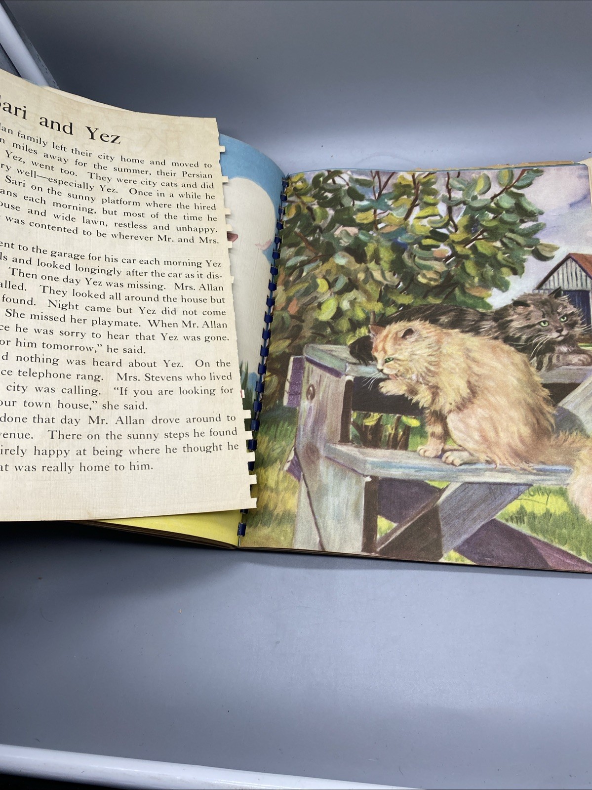 Picture Story Book 1943 Saalfield Various Animals HC DJ Spiral Beautiful Artwork