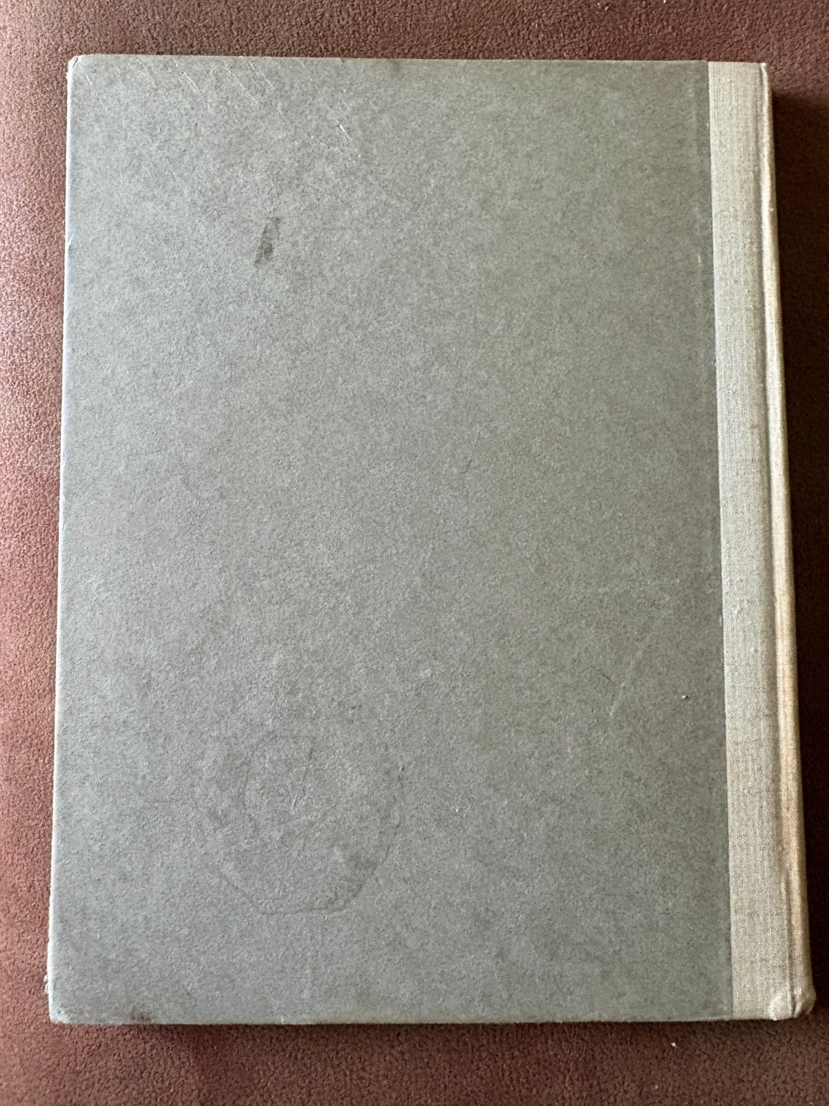 New York In MCMXXIII 1923 Book 46th Convention Nat Electric Light Asso B/W photo