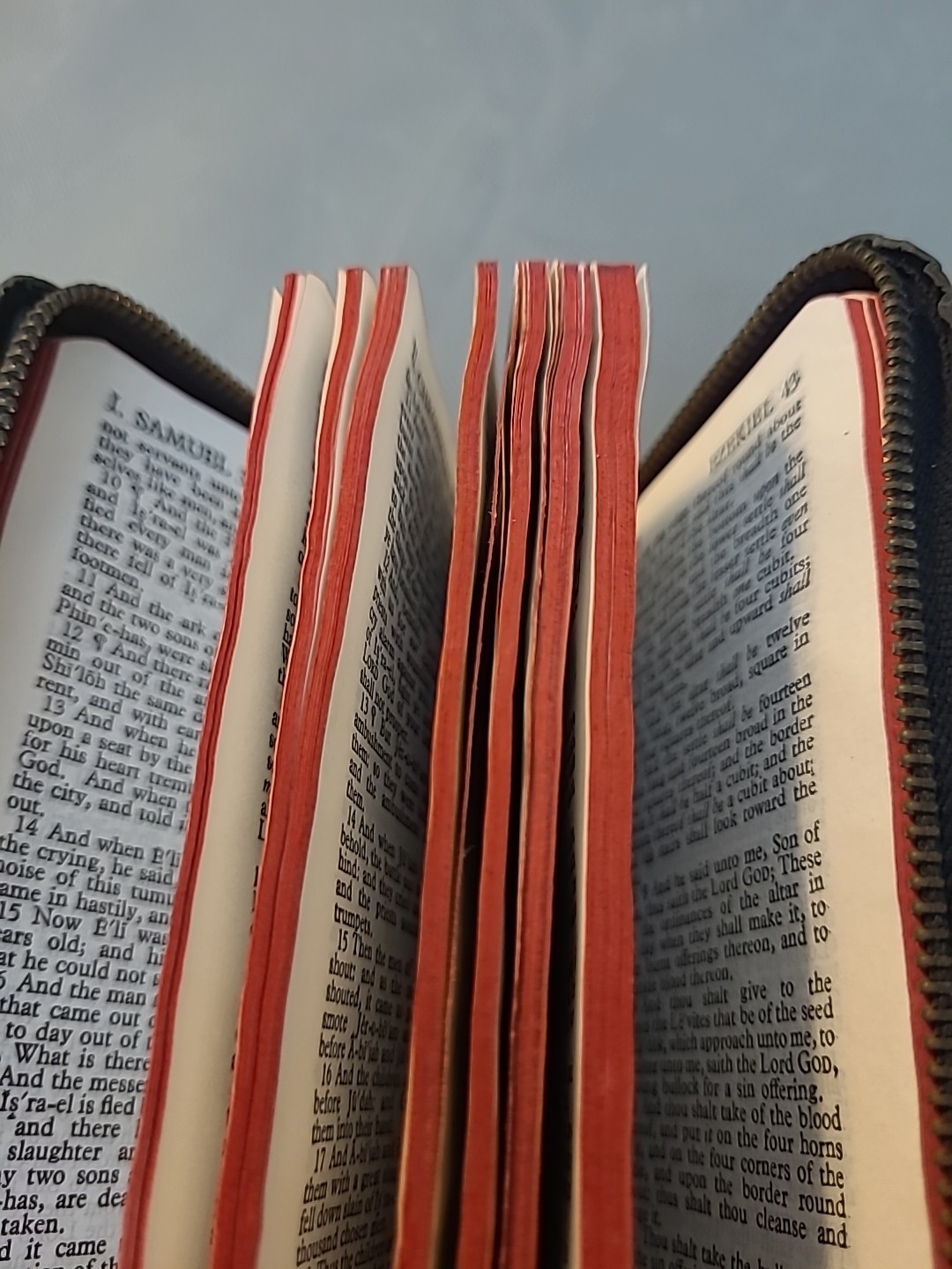 The World Publishing Company Illustrated Holy Bible 1950s Zipper Closure GOOD