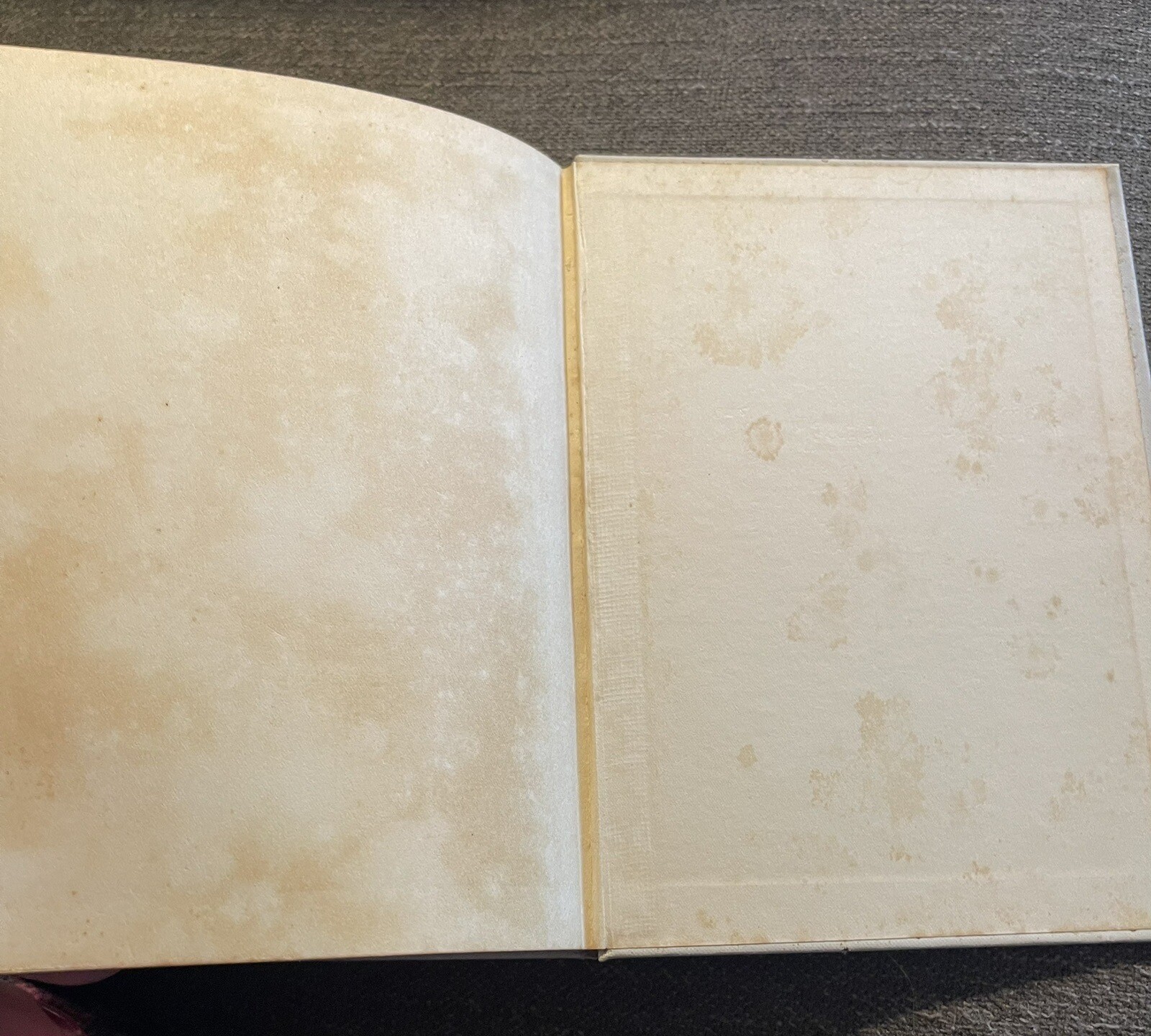 CELEBRITY-SIGNED Rare 1931 BEVERLY HILLS FASHIONS IN FOODS Cookbook, Disney Etc