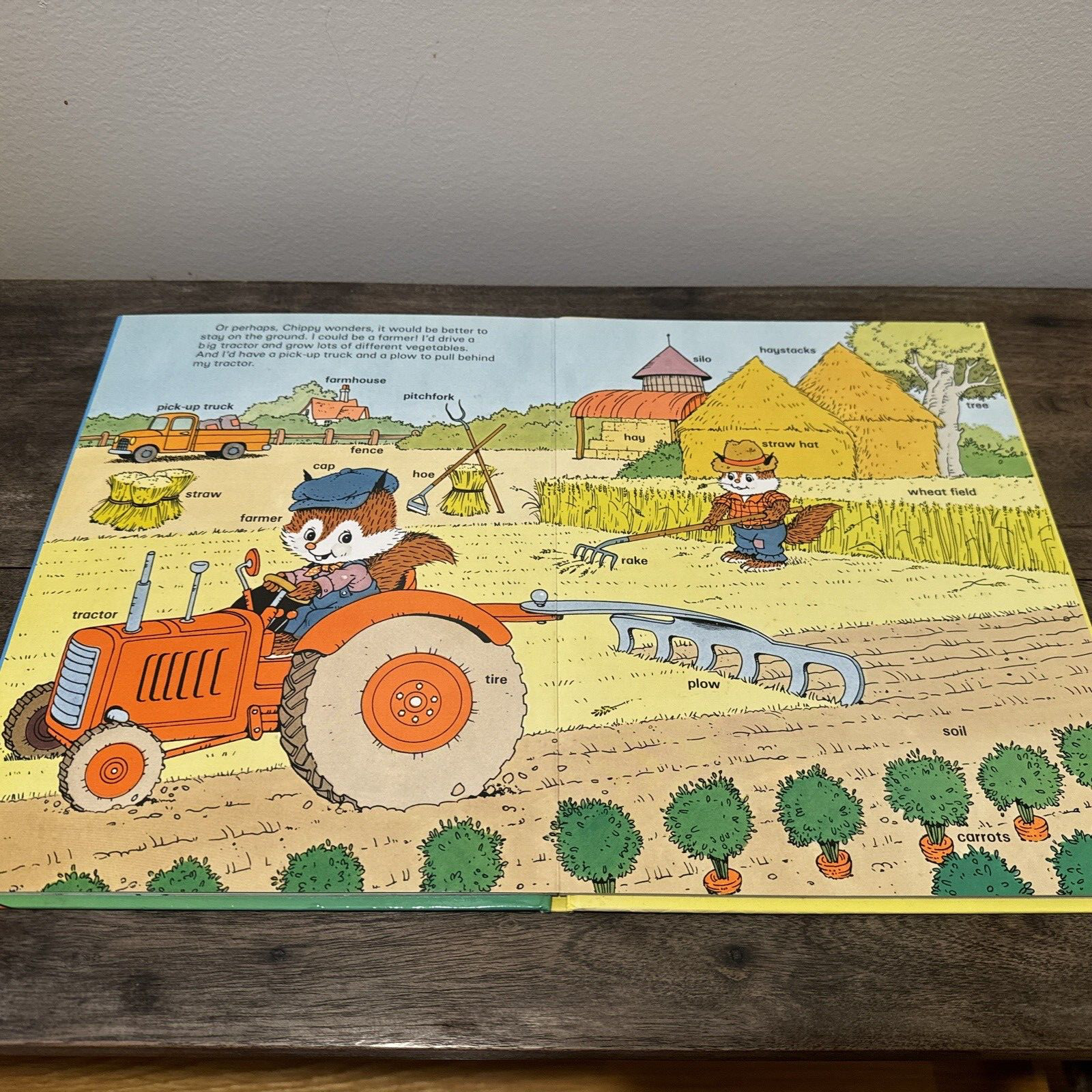 Chippy Pretends Happy Ending Preschool Word Book 1987 Honey Bear Board Book Good