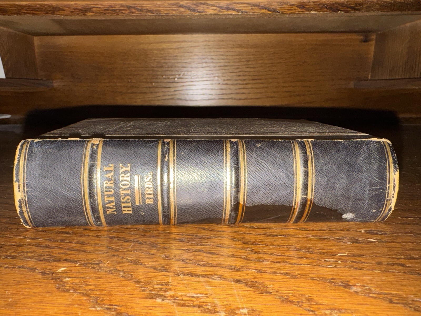 c1835, An introduction To The Study Of Birds, Illustrated, Religious Tract, RARE