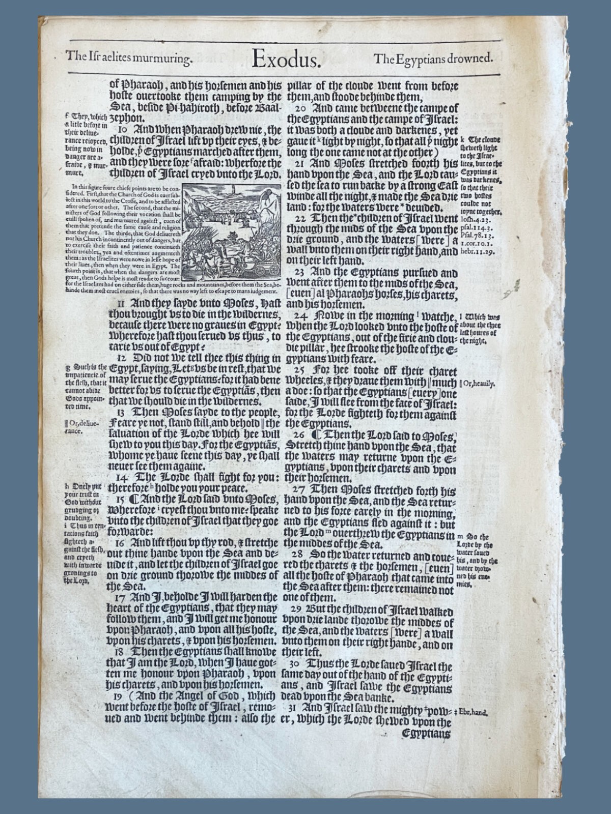 1583 Geneva Bible Page – Largest Folio Leaf – Select Your Passage – Grand Noble