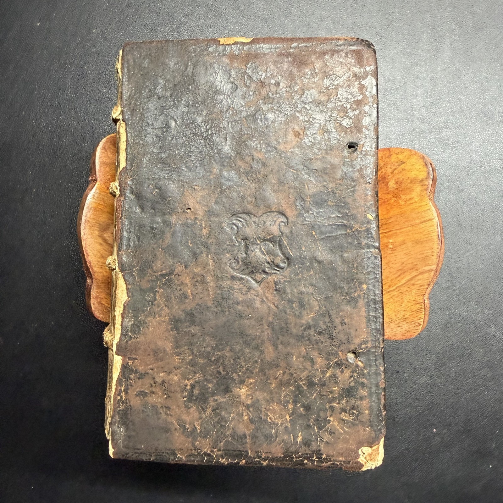 1567 ✝️ Erasmus Novi Testamenti, Latin NT, 100+ Woodcuts, Rihel