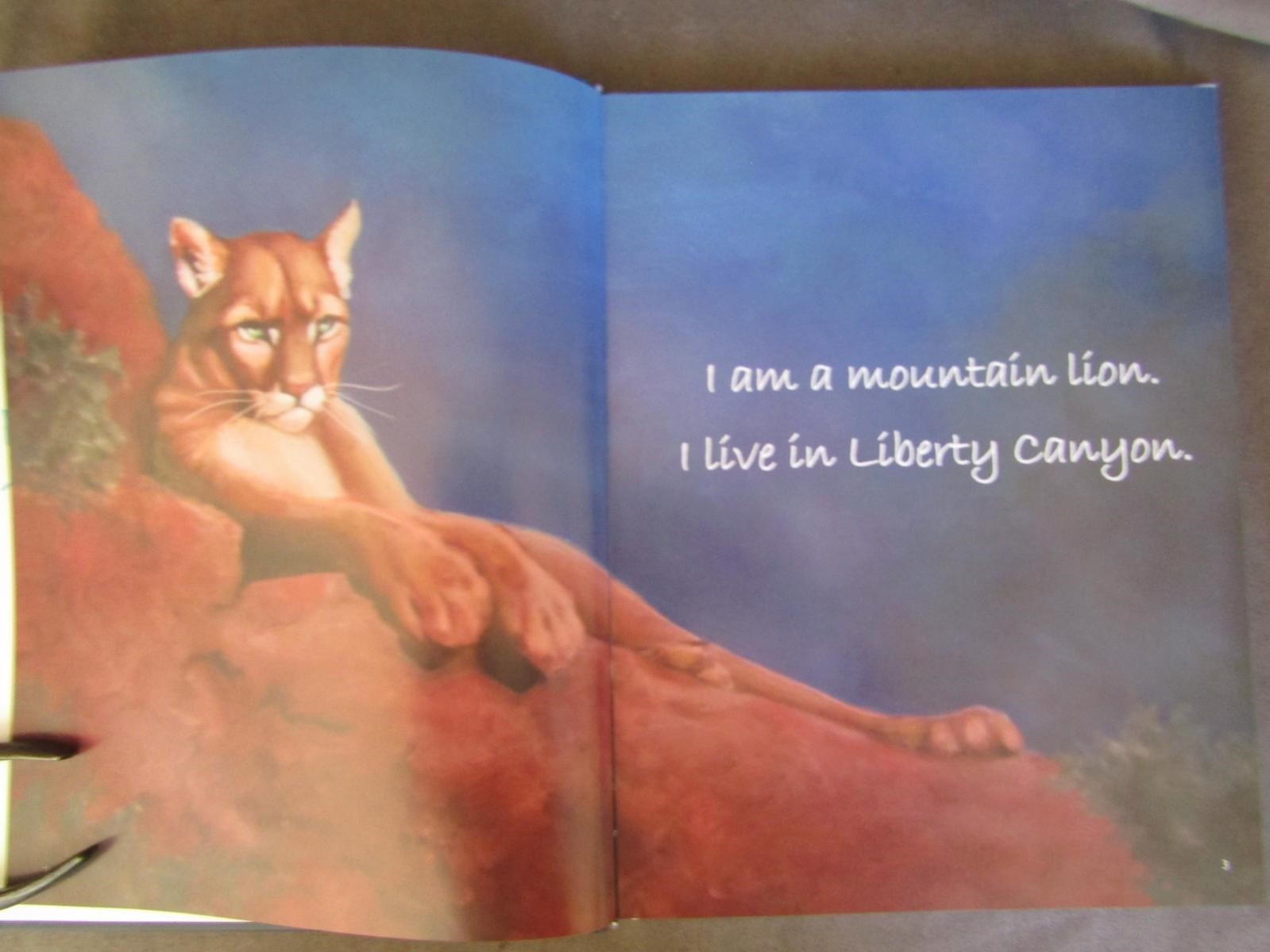 2018 1st Signed – P22 The Journey – Mountain Lion Santa Monica Mountains ch511