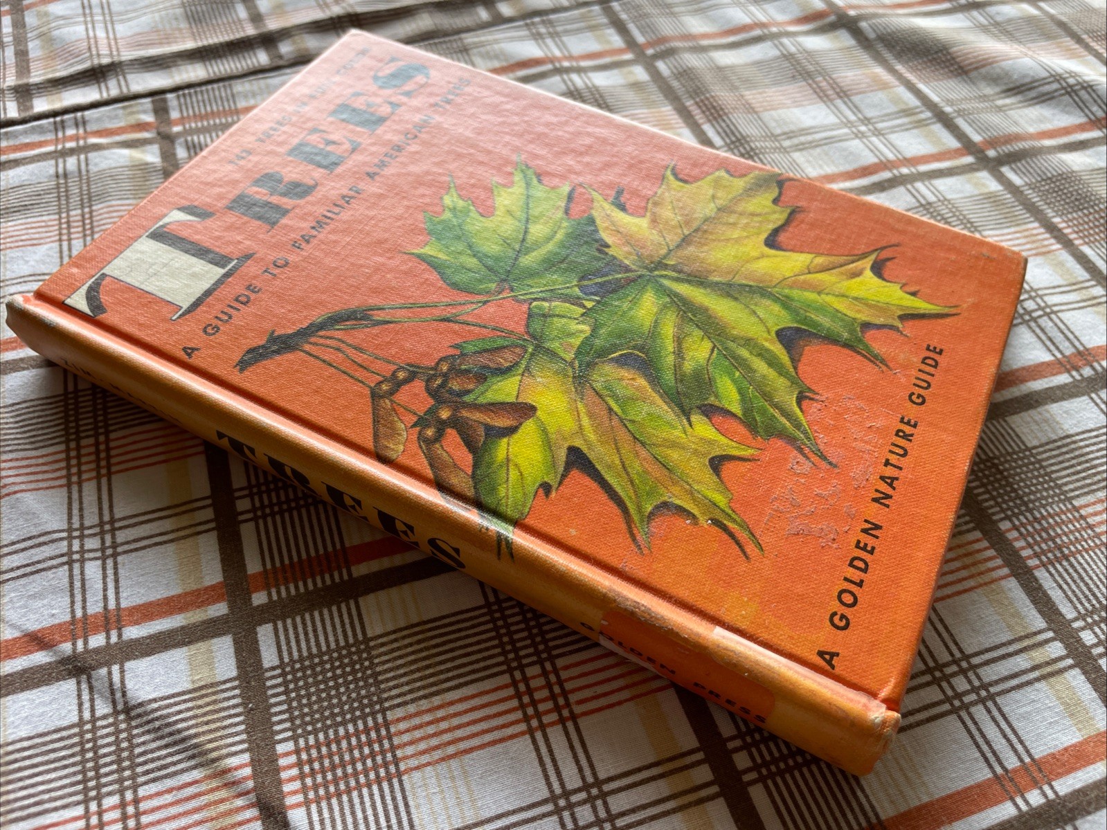 Trees: A Golden Nature Guide to Familiar American Trees (1956 Vintage Ex-Lib HC)