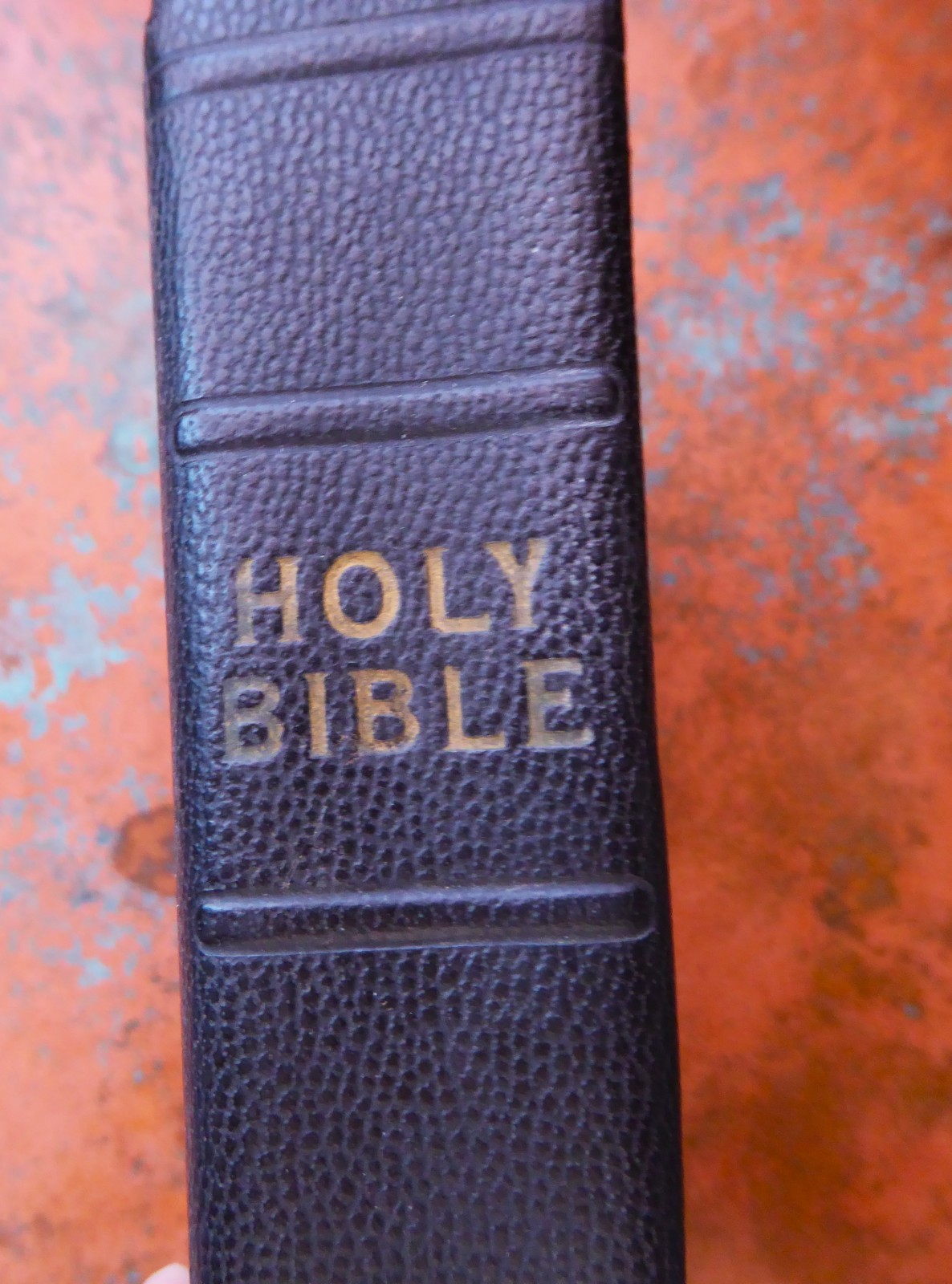 Vintage Holy Bible Illustrated Black World Publishing Company Maps Pictures