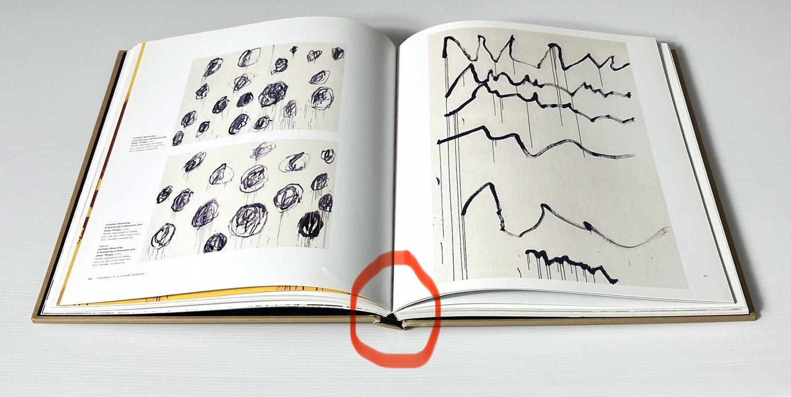 Cy Twombly Late Paintings 2003-2011 by Pavlouskova HC DJ 2015