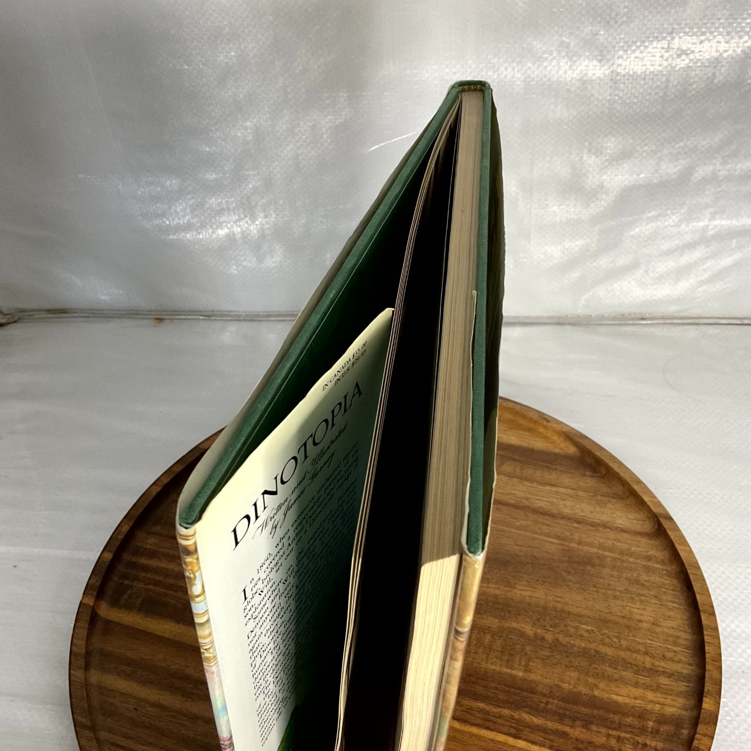Dinotopia The World Beneath James Gurney 1995 1st Edition Illustrated Fantasy