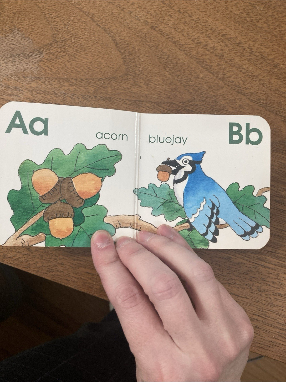 ABC In The Woods Vintage Children’s Board Book National Geographic 1990