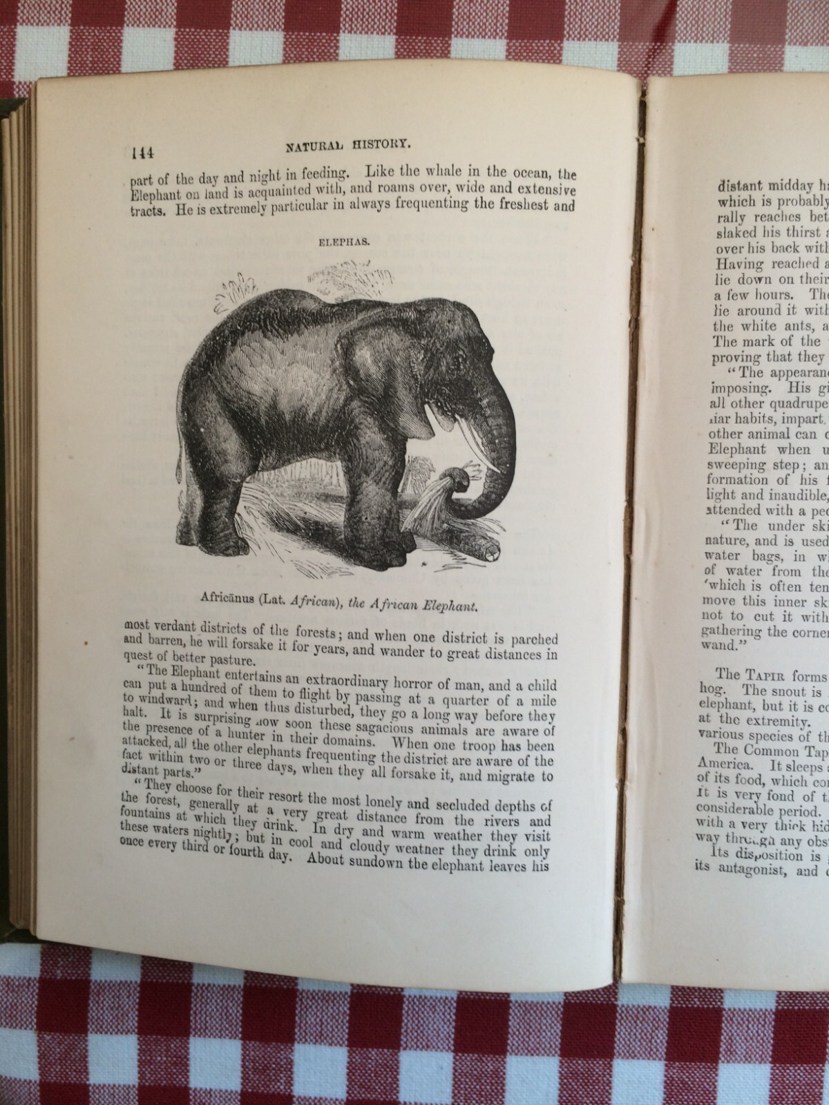 Woods Illustrated Natural History by Rev. J. G. Wood with 480 pics by W. Harvey