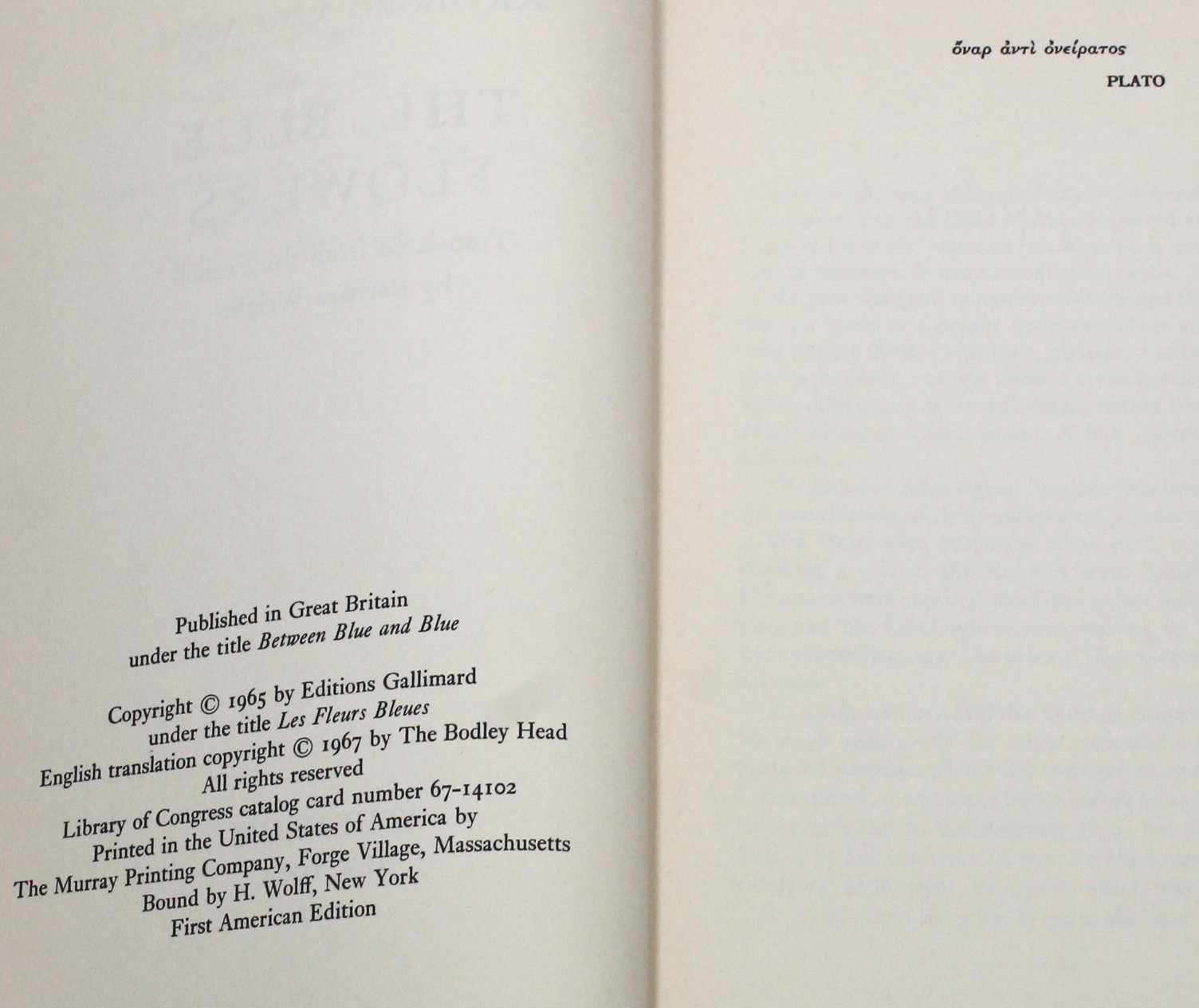 The Blue Flowers by Raymond Queneau 1967 First American Edition Eng. Translaion
