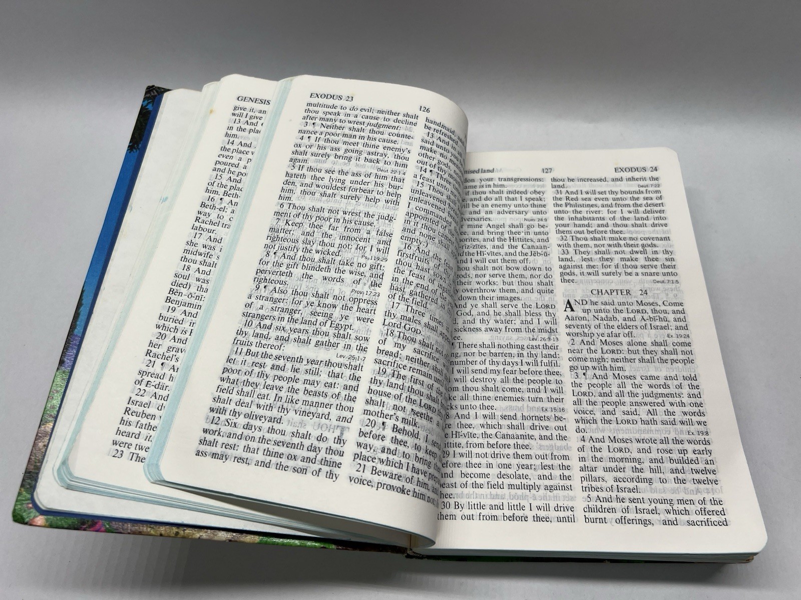 Holy Bible Kings James Version Illustrated
