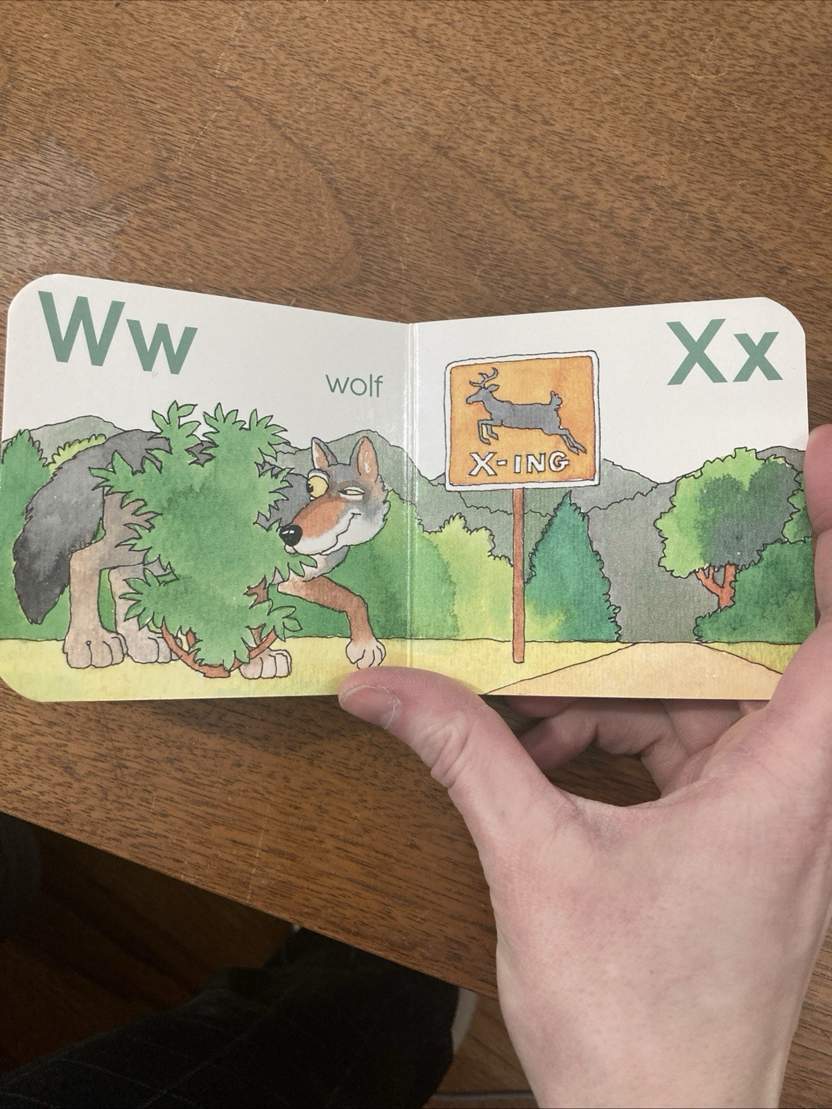 ABC In The Woods Vintage Children’s Board Book National Geographic 1990