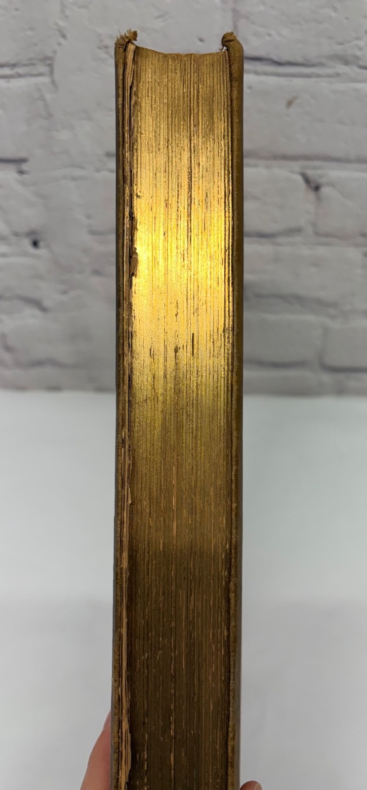 Wonders Of The Universe 1st Edition Book 1885 Science Astrology