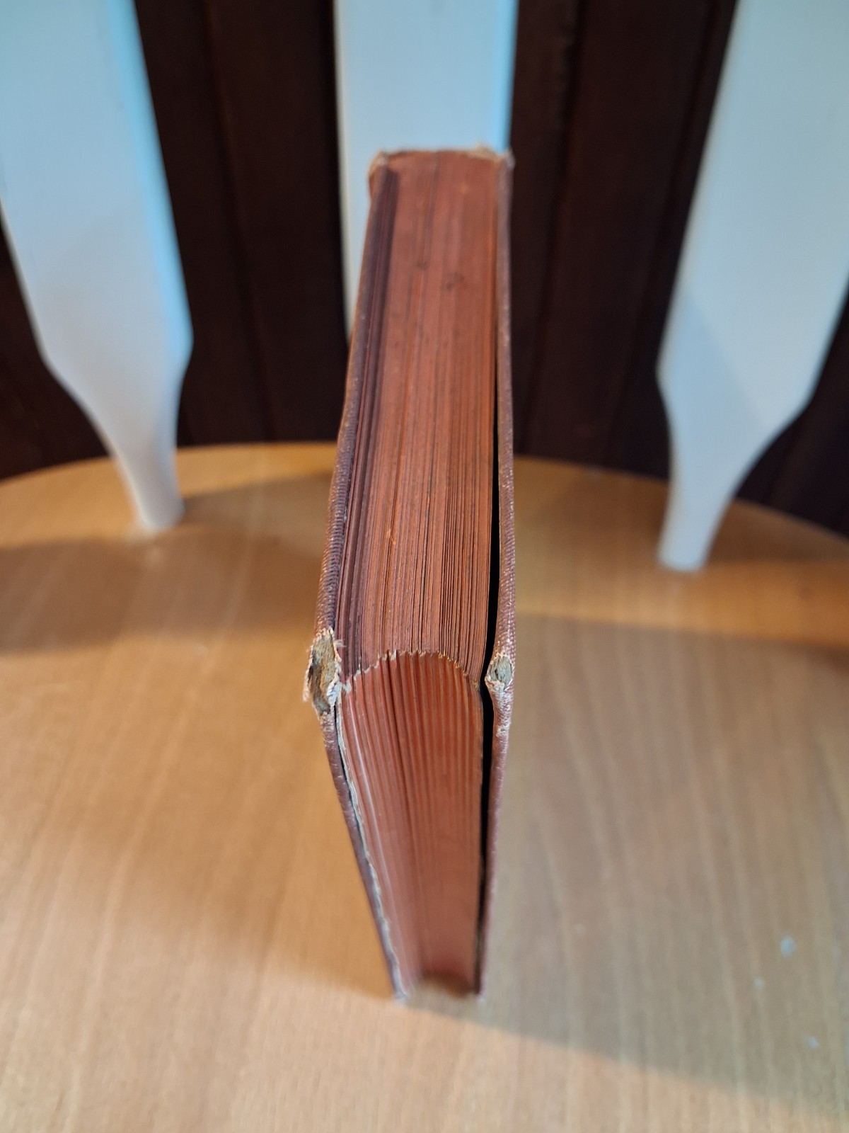 Seashore and Prairie by Mary P. Thacher, First Edition, 1877, James R. Osgood