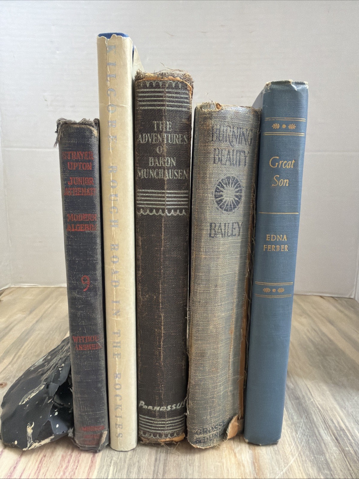 Lot of 5 BLUE / Shades of BLUE Old Vintage Antique Rare Hardcover Random Books