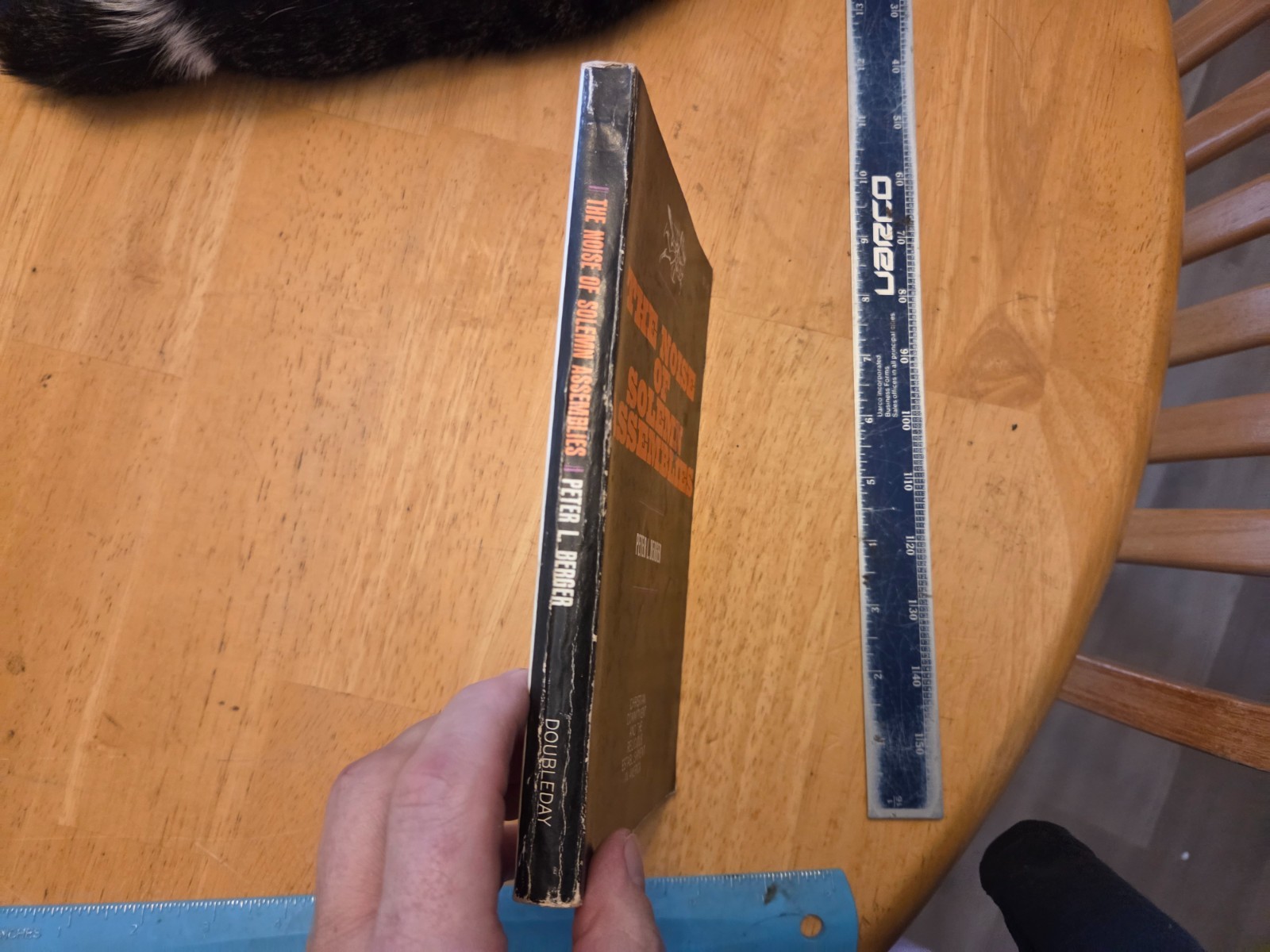 The Noise of Solemn Assemblies by Peter L. Berger – 1961 Trade Paperback