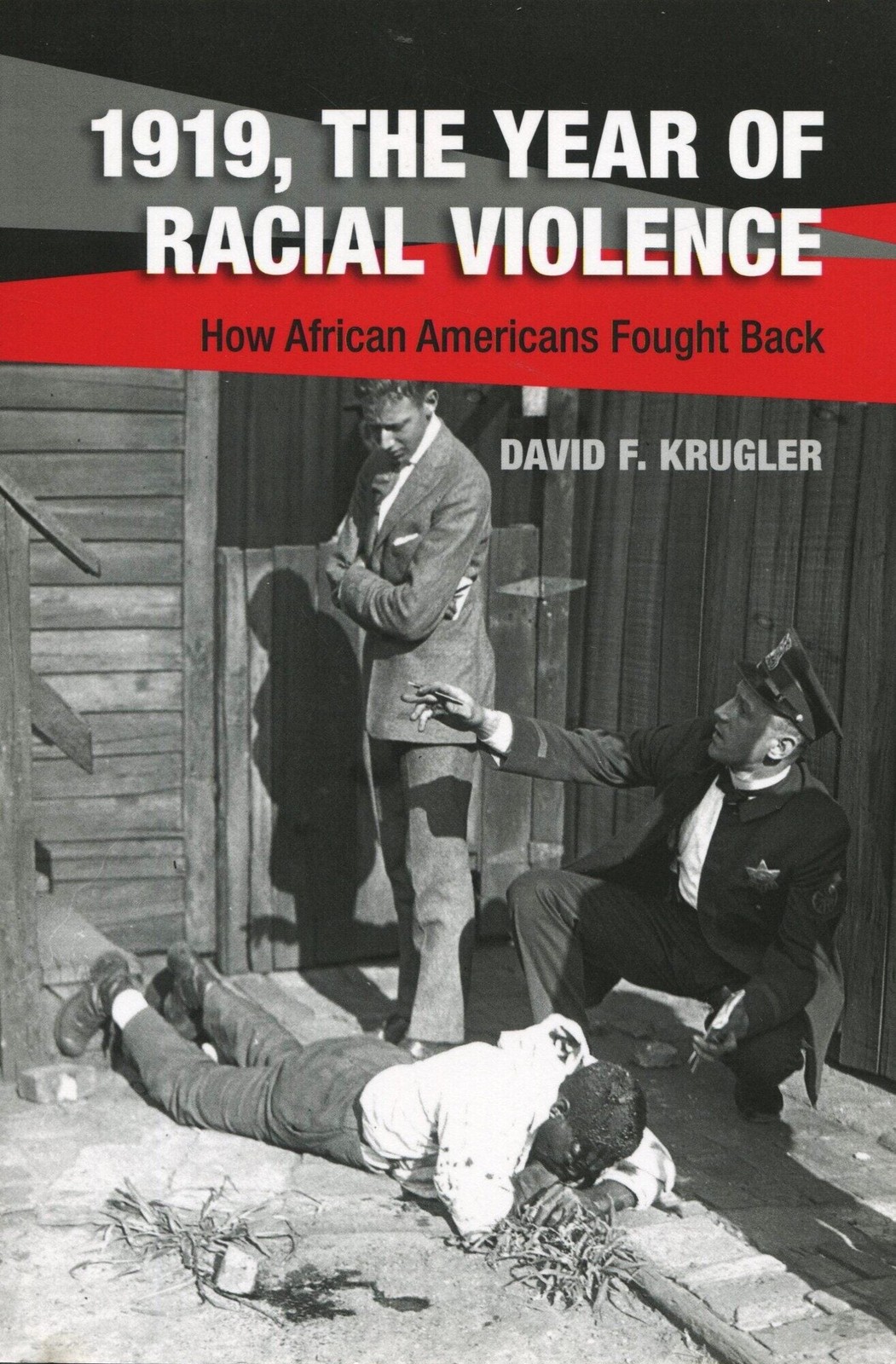 David F Krugler / 1919 the Year of Racial Violence how African-Americans fought