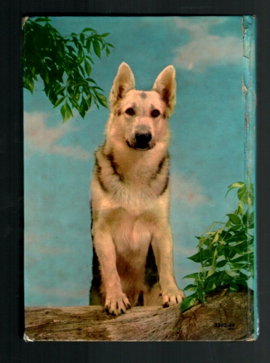 Rin Tin Tin’s RINTY 1954 Whitman Hardcover Son Of Rin Tin Tin, TV German Shepard