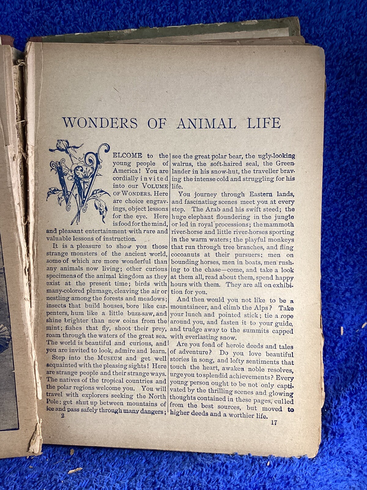 Vintage The King Of The Circus 1902 Book Unknown Publisher And Author 224 Pages