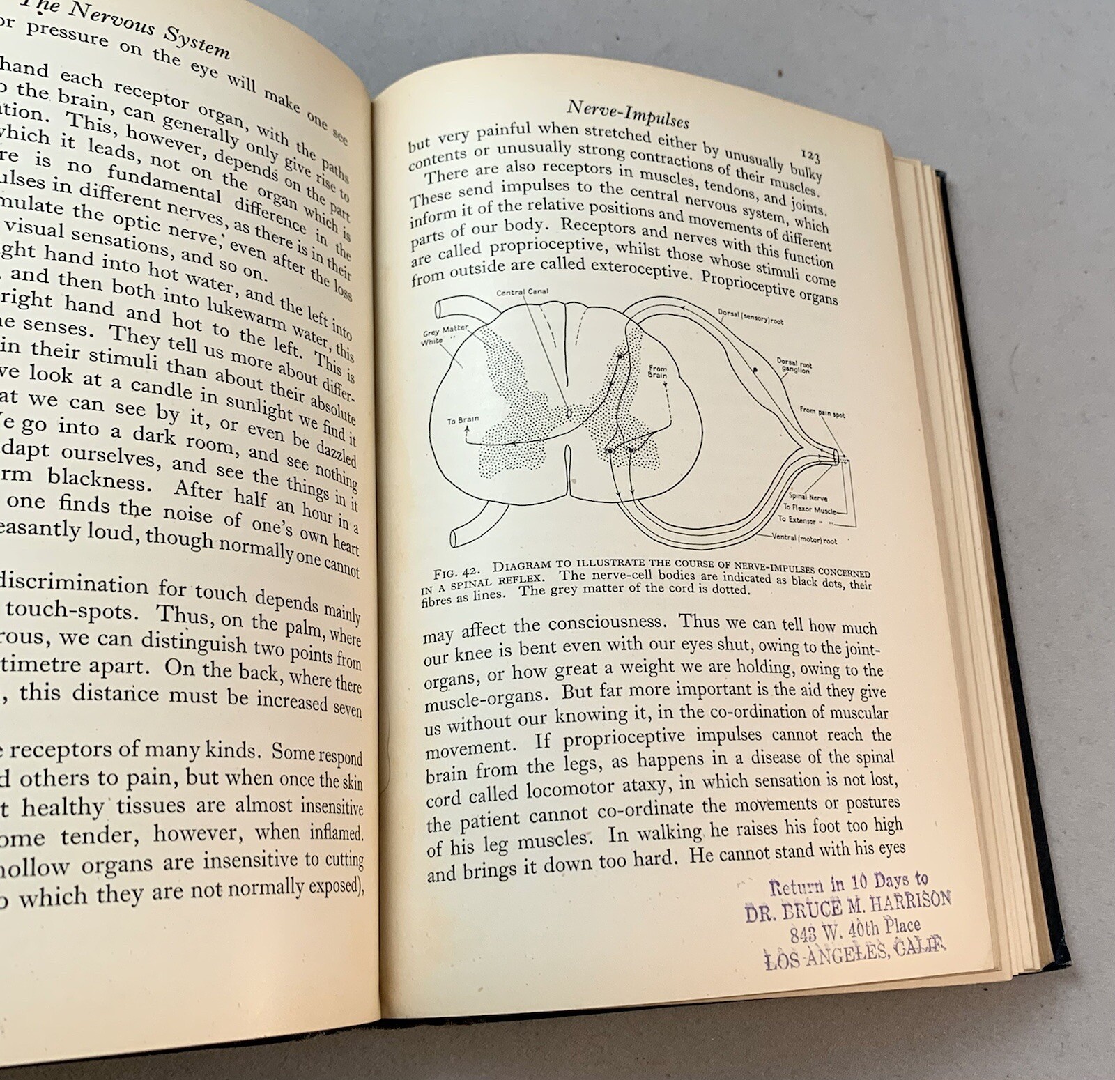 Animal Biology-J.B.S. Haldane-Julian Huxley-TRUE First Edition/1st Printing-RARE
