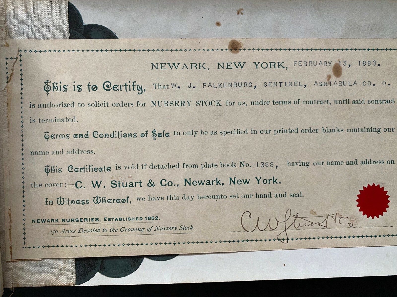 Chas. W. Stuart & Co., Newark Nurseries – 1893 – Signed, Rare Plant Book #1368