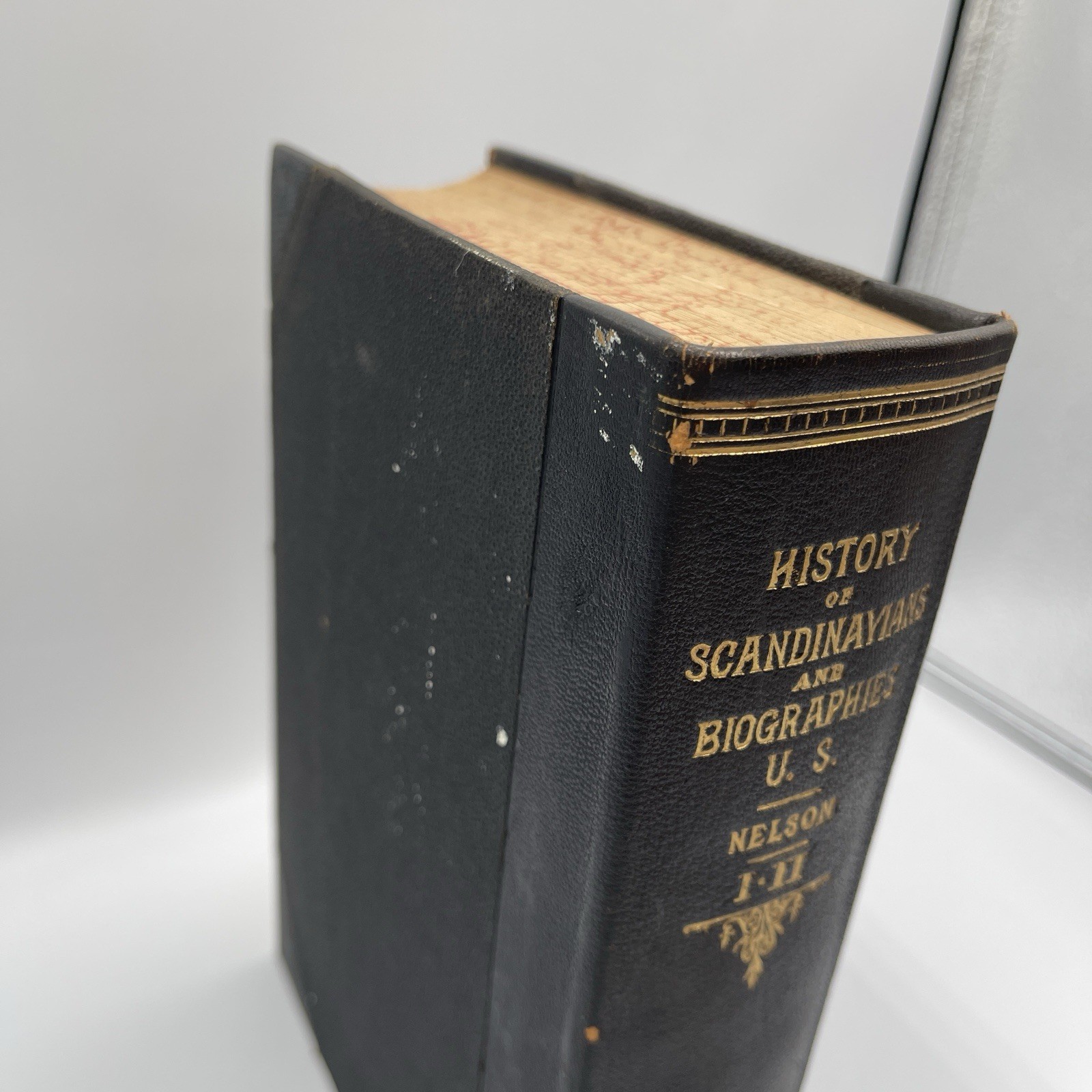 Antique History of the Scandinavians And Biographies US 1904 Nelson Book I-II