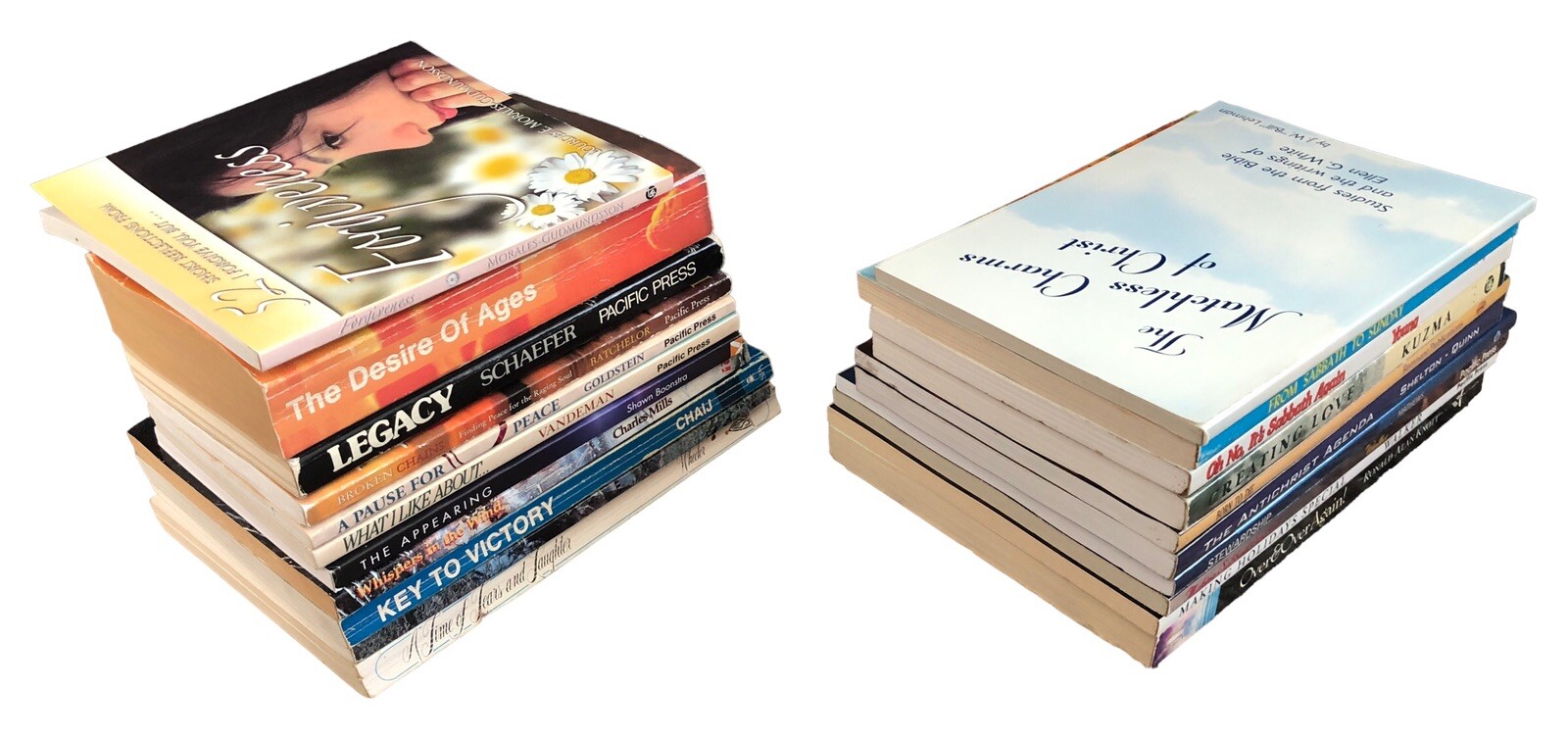 Lot of 21 Assorted Seventh-day Adventist Books Booklets Tracts Christian Reading