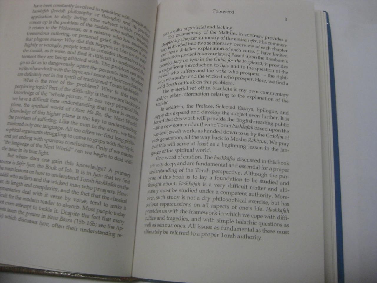 Fine Lines of Faith: A Study of the Torah’s Outlook Human Suffering IYOV MALBIM