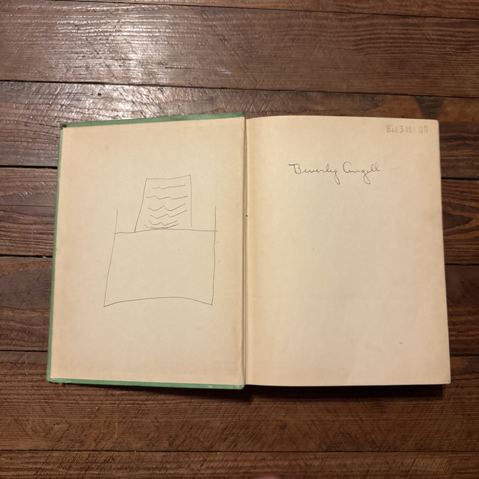 Vintage 1903 Edition of The Wizard of Oz Book by L. Frank Baum & W. W. Denslow