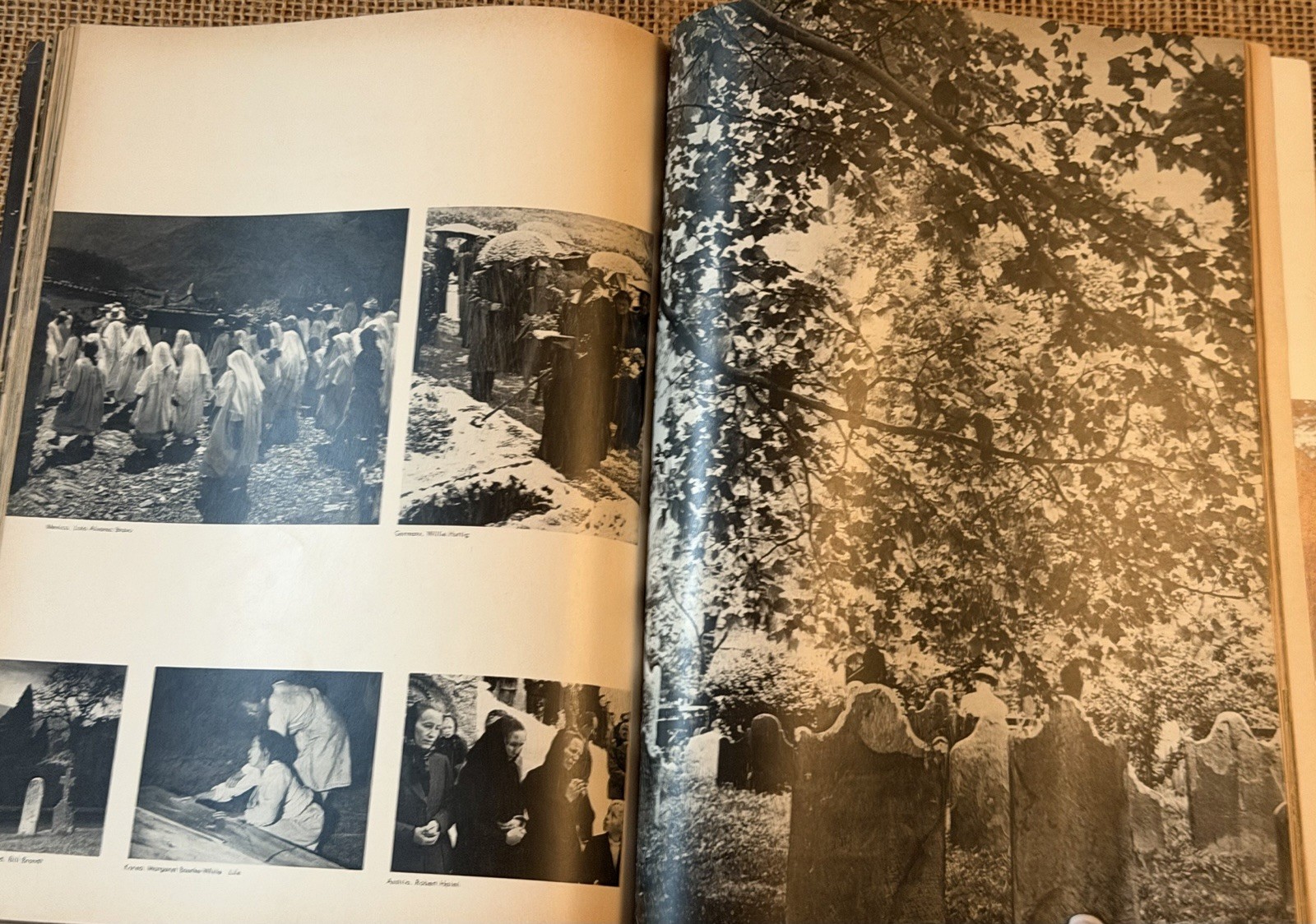 The Family of Man 1st edition 1955 Museum Of Modern Art Book