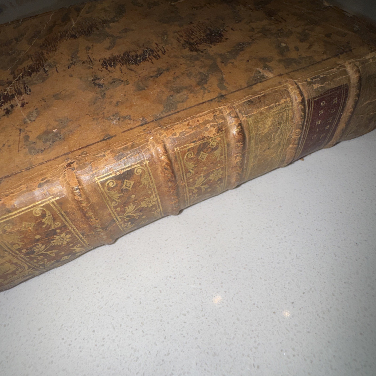 Antique Homer Opera Latin Edition Book Dated 1744