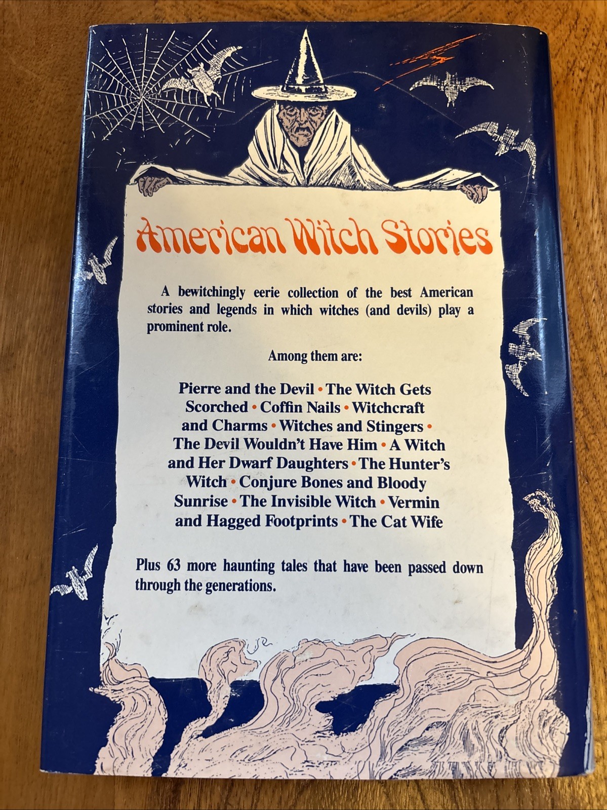 RARE American Witch Stories Hubert J. Davis 1990 Book Witchcraft Occult Folklore