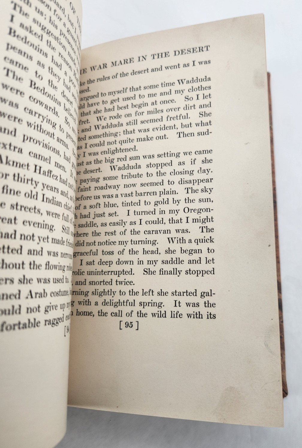 My Quest of the Arabian Horse / Homer Davenport / 1909 Hardcover Ex-library