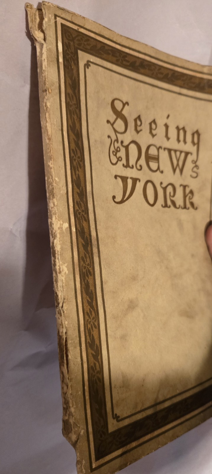 Seeing New York 1906 Souvenir Tour Guide History Photos Sights